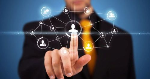 藍奧信息 突破招商困局，賦能招商技巧的信息技術咨詢服務